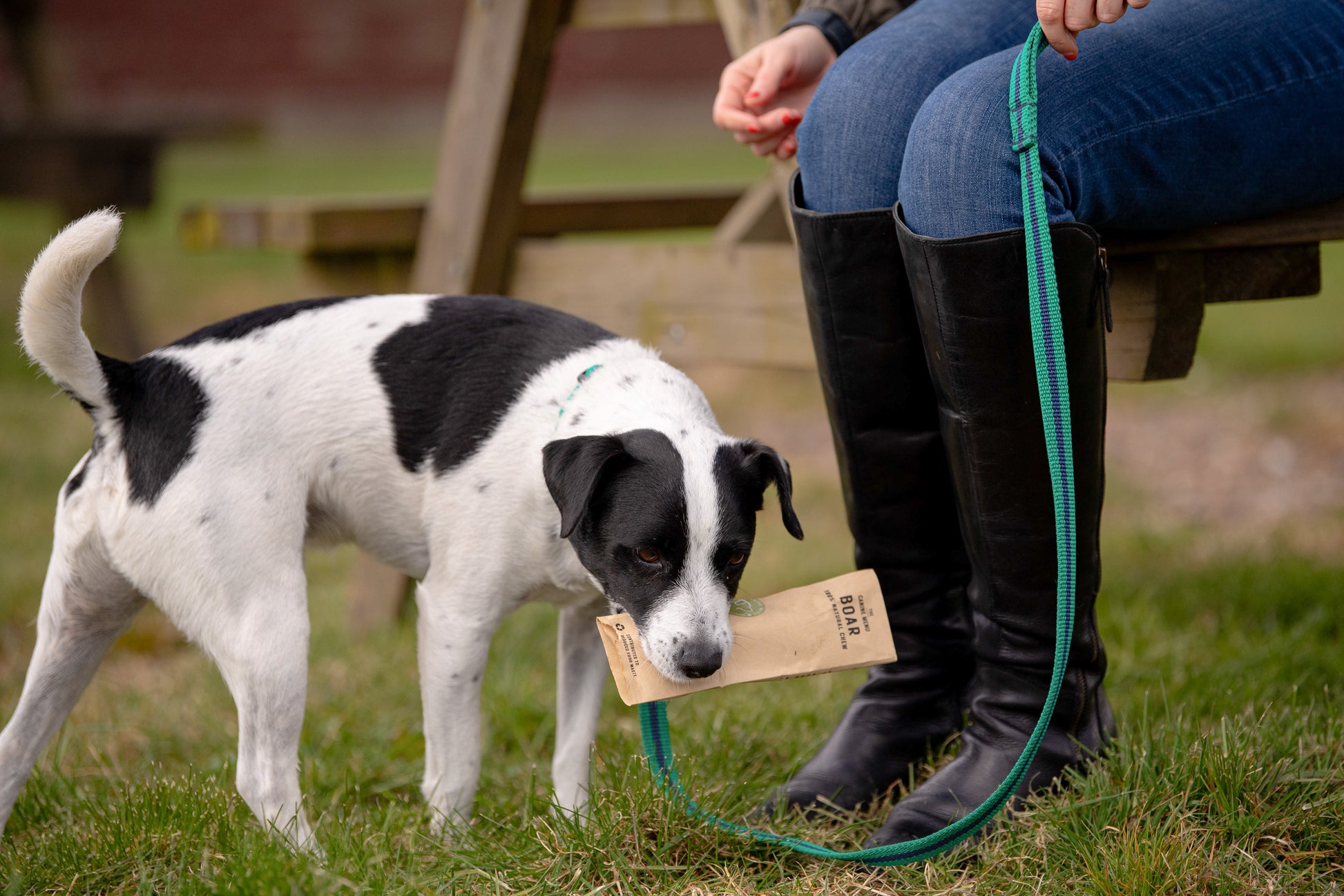 Boar Dog Chews (25 units) image 3