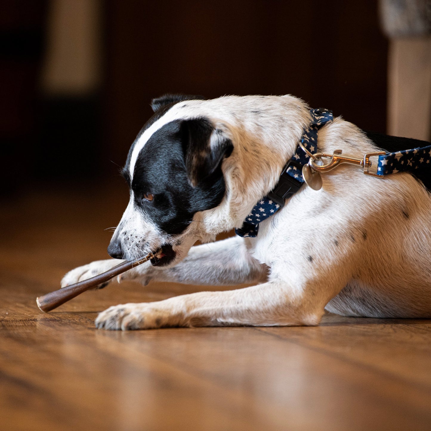 Buffalo Dog Chews (25 units) image 3